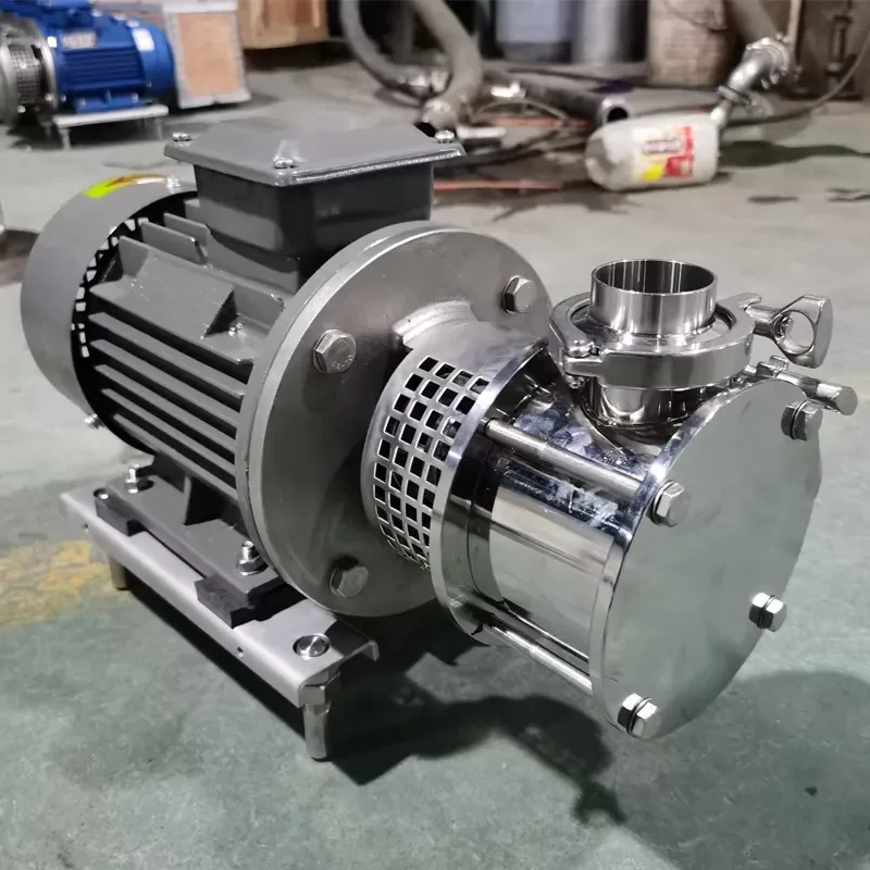 Food Grade Stainless Steel SS304 SS316L Flexible Rotor Pump for Soybean Milk Bean Curd Jelly Served Sauce Rotor Pump