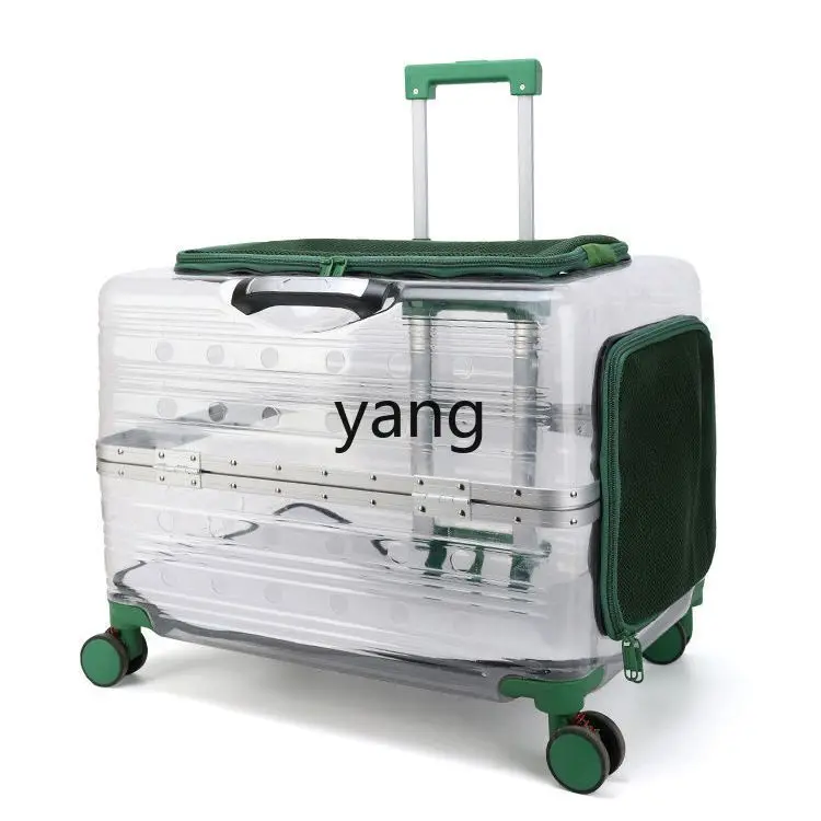 CX oversized fully transparent pet transparent trolley case