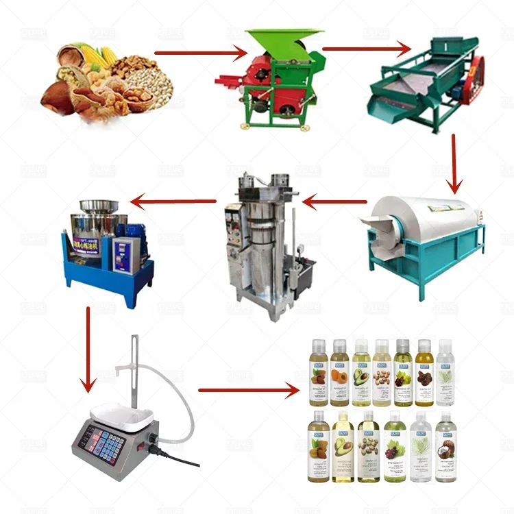 Hydraulic Olive Oil Press Machine Machine for Pressing Olives Olive Press Machine De Pitting