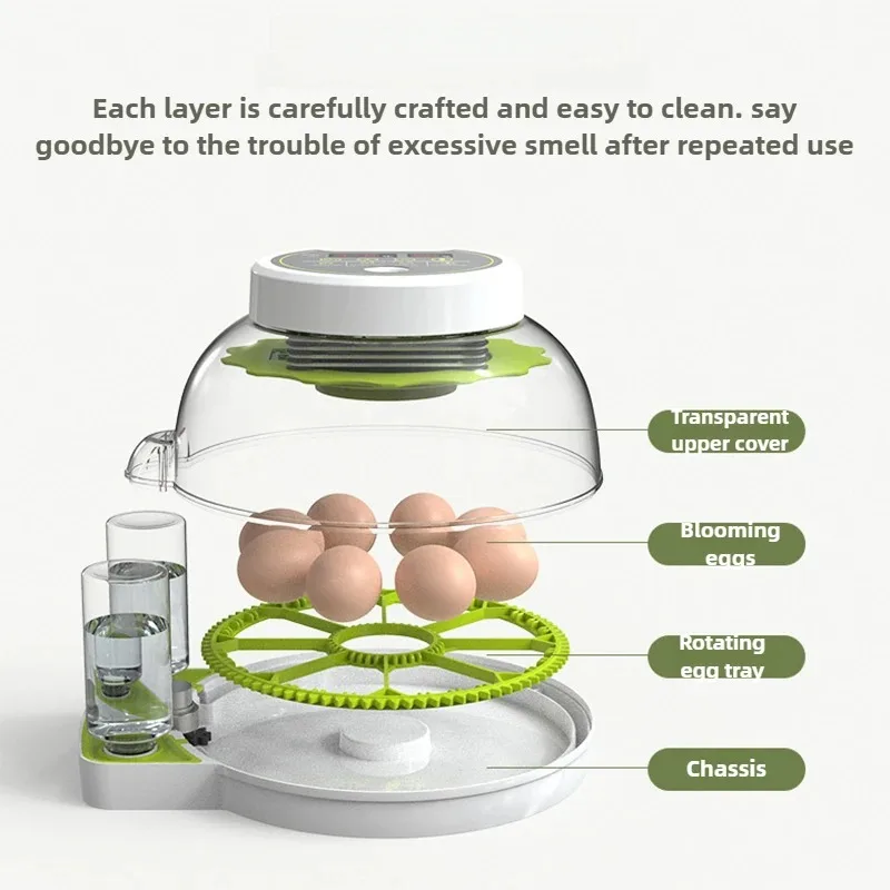 Mini Transparent Parrot Incubator - UFO Style Small Hatching Box for Home Poultry Hatching