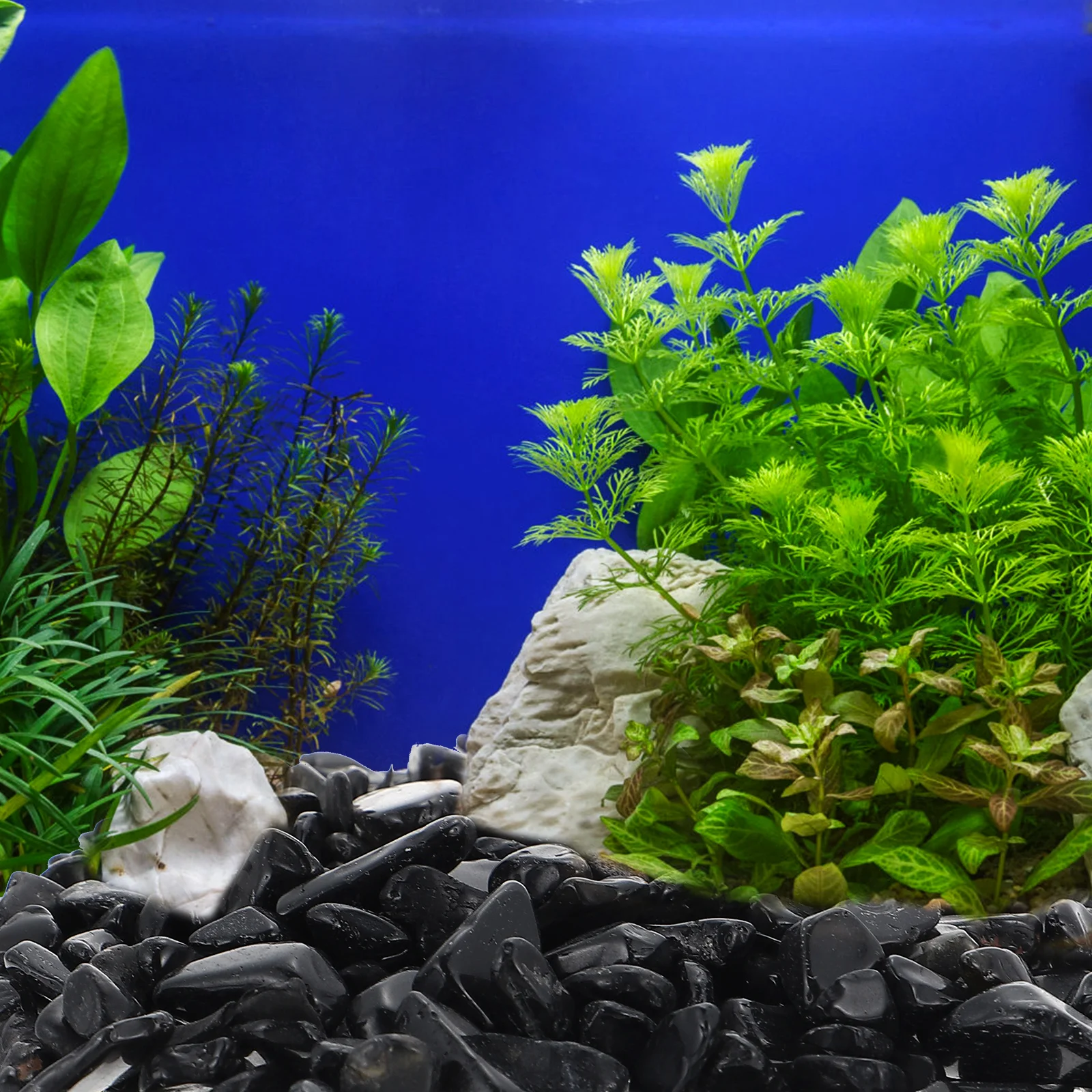 

Obsidian Gravel Decorative Rocks for Aquarium Tank L scaping Shining Supply Wear Resistant Fish Tank Accessory Pet Supplies