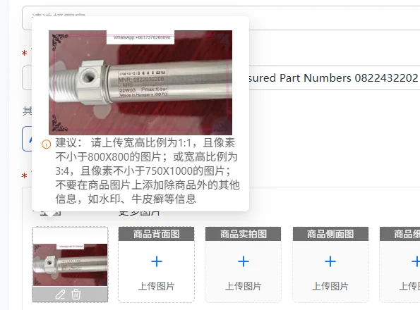 Single Action Cylinder - Quality Assured Part Numbers 0822432202 0822433202 0822434202 for Enhanced Performance