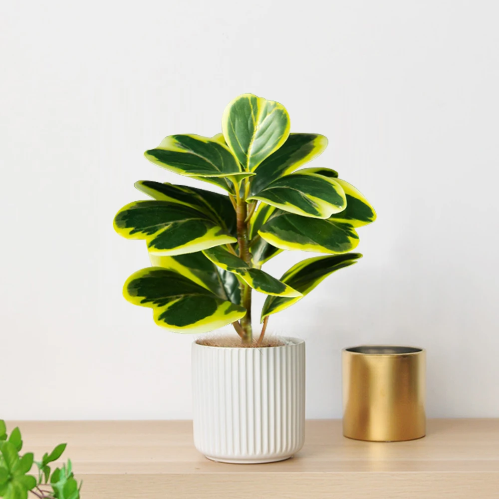 20-37cm Künstlicher Ficus-Baum, Künstlicher Eichenbaum, Tropische Geigenfeige, Plastik-Banyan-Zweig für Heim, Schreibtisch, Geschäft, Hochzeitsdekoration – Detail 5