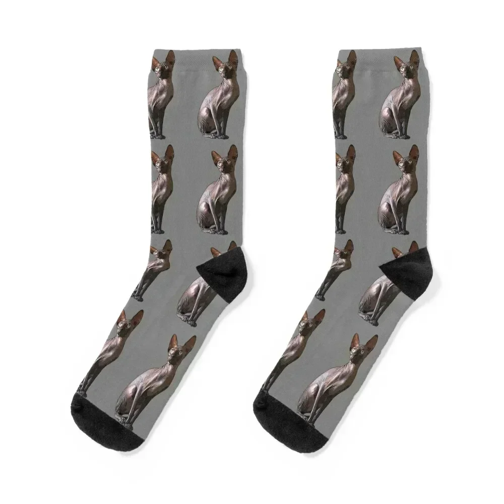 

Black Sphynx Cat Socks happy shoes Stockings man designer brand Man Socks Women's
