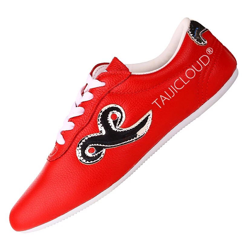 Top Grain Leather Kung Fu Shoes - Tai Chi Martial Arts Performance Competition Indoor Shoes (6 Colors)