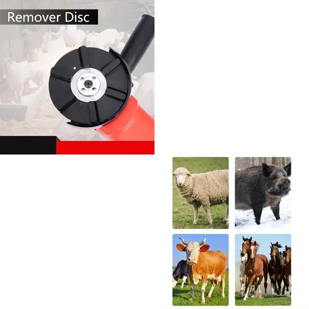 

A2BE Hair Removing Disc Pig Hair Removal Tool for Horse Cattle Slaughter Factory