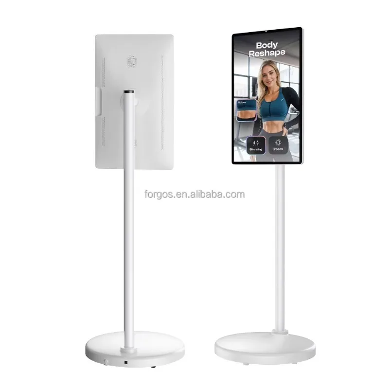 Factory Price 21.5 Inch Wifi Android Smart TV Tablet Standbyme Screen Tv Incell Touch Screen  Portable Display