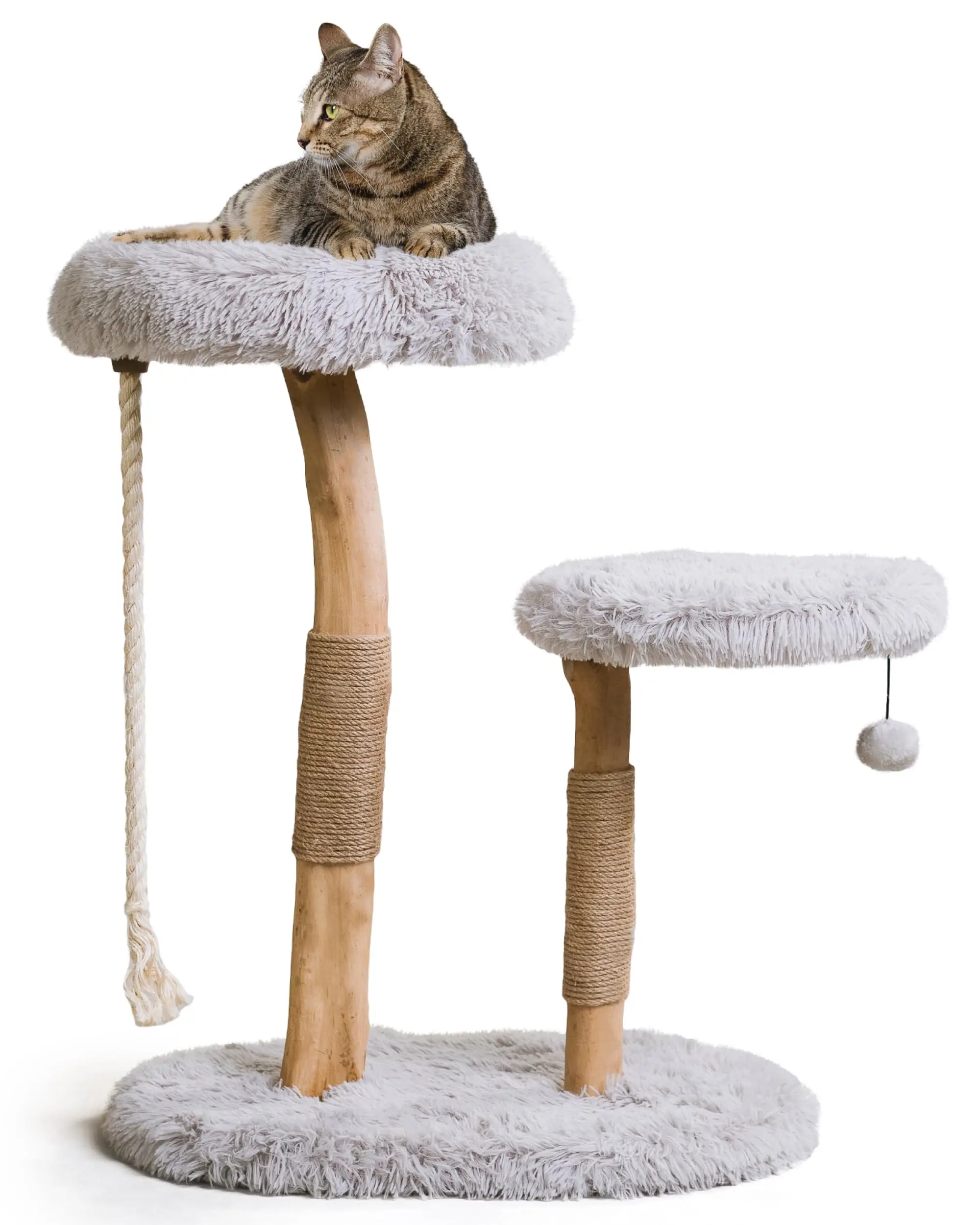 Mau - Modern Wood Cat Tree Tower, Real Branch Scratching Post, Cat Condo | Replaceable Parts, Cushioned Cat Bed, 2