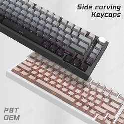133 keys Side Engraved Gradient Keycap luminescence PBT Sublimated Keycaps OEM Profile for MX Switches Gaming Keyboards DIY
