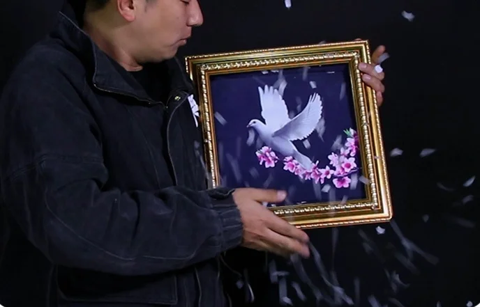 ديلوكس حمامة الإطار حمامة صورة تغيير اللون إلى حمامة حقيقية المرحلة الخدع السحرية تغيير مزدوج الدعائم السحرية حفلة عرض سحري لعبة كوميديا