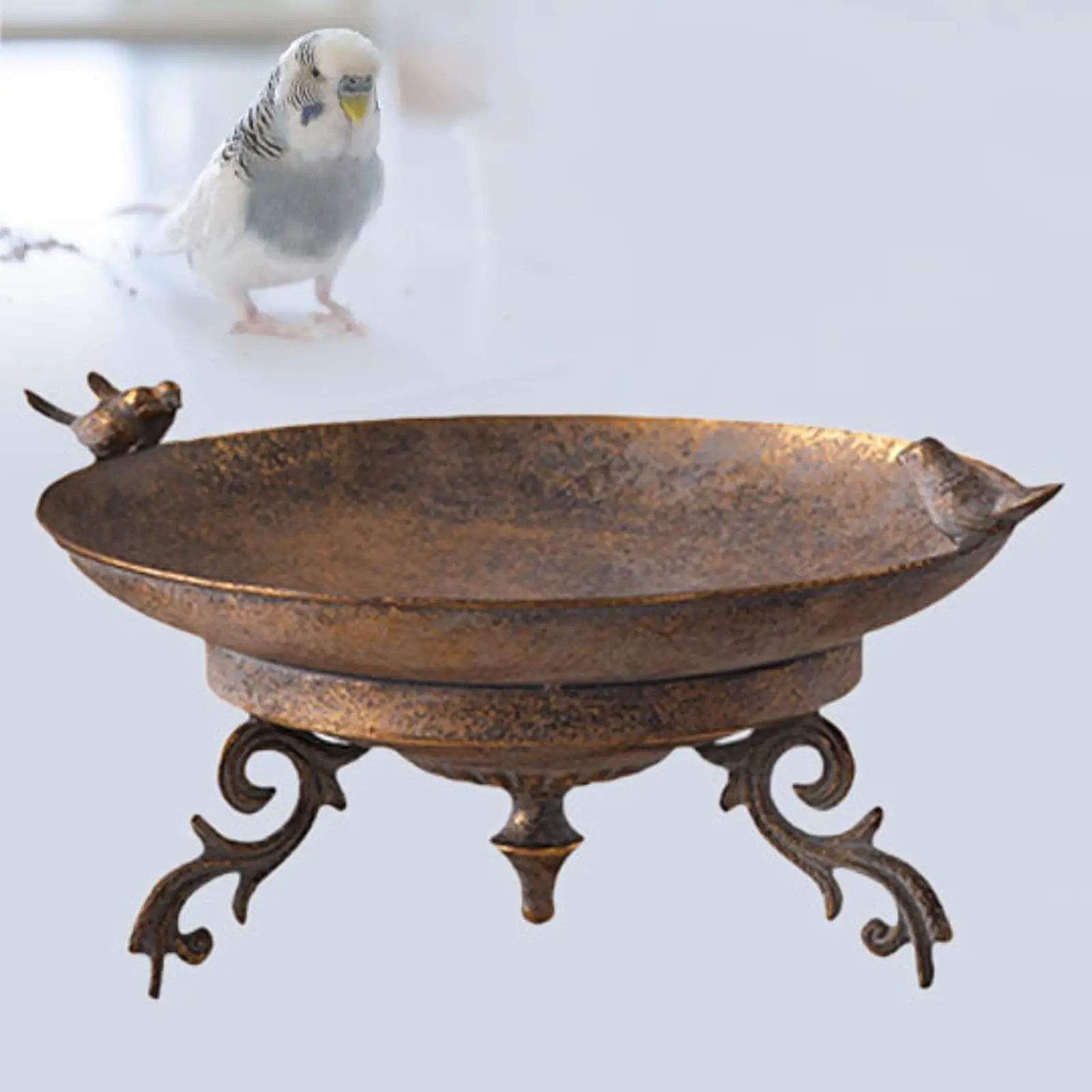 

Кормушка для птиц, железный поднос, палуба, открытый пейзаж, садовая миска для ванны для птиц