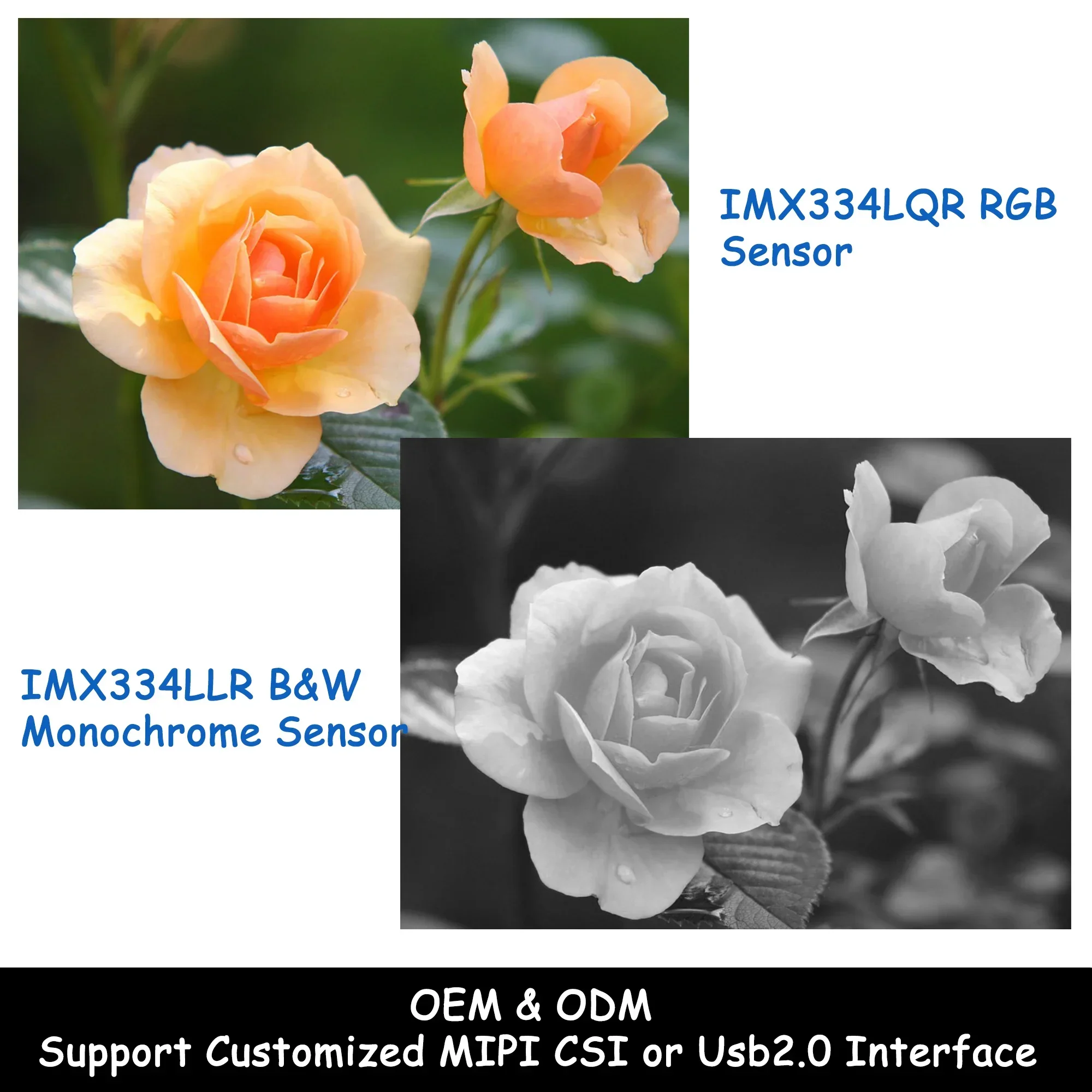 

In stock OEM High-Speed 8MP IMX334 60FPS HD HDR Wide Angle Fisheye RGB Camera Module 4K FF 1/1.8 Inch CMOS Micro Sensor Module M