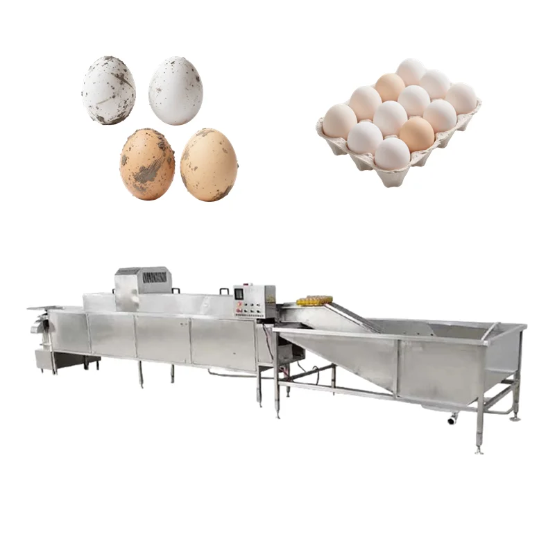 Máquina automática de limpieza de huevos de pollo y pato, precio de fábrica, línea de procesamiento de limpieza y secado de huevos Industrial, lavadora de huevos