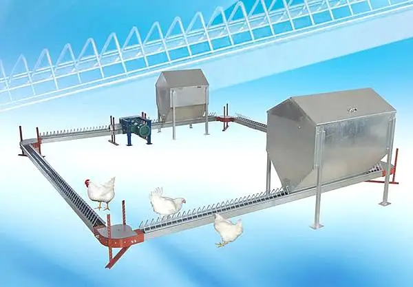 Livestock Widely Used Automatic Poultry Farming Chain Feeder System chickens Hen Chain Feeding Line System