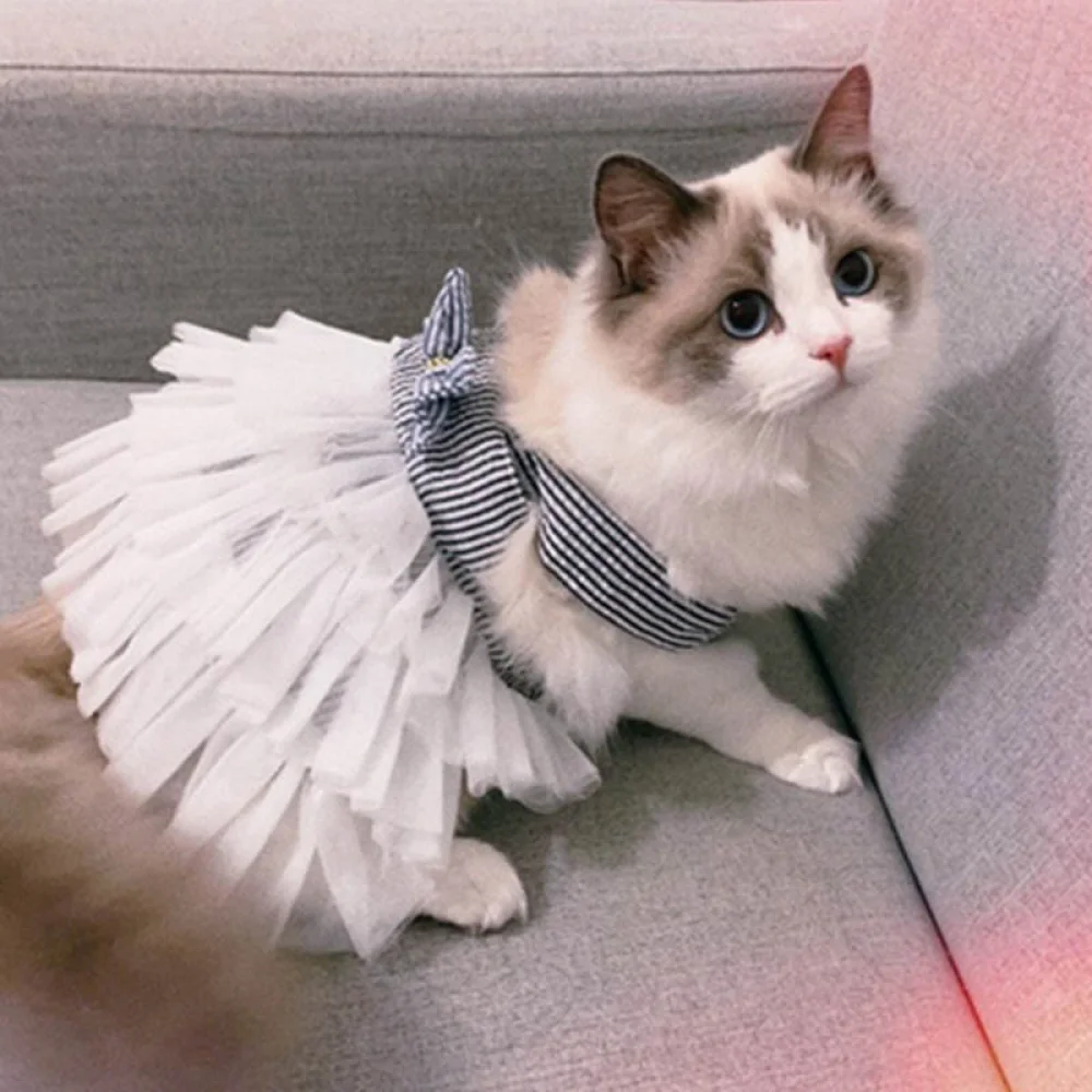 

Pet Cat Clothes Spring and Summer Pet Clothing Small Cat Dog Cat Clothing Striped Suspenders Mesh Skirt Kitten Pet Clothing