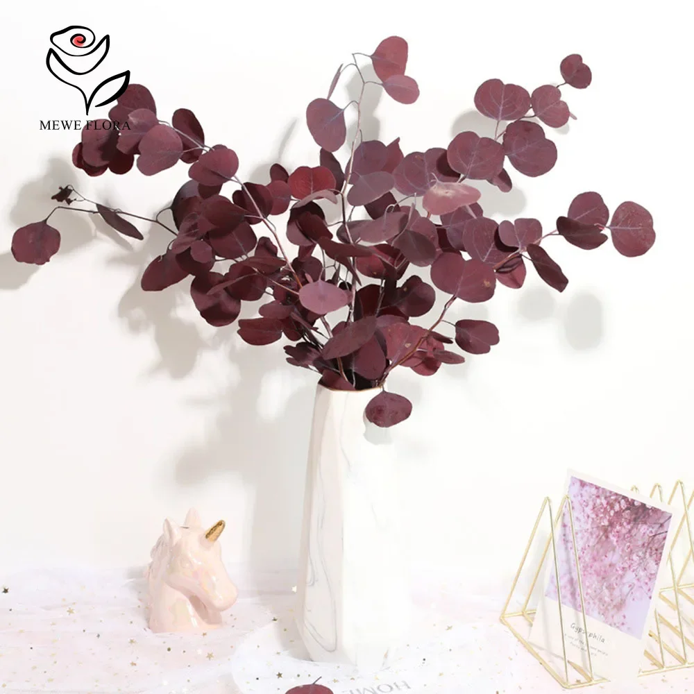 Eternal Round Apple Eucalyptus Leaf Natural Dried Flower Preserved Foliage Plants Greenery Branches Home Office Green Decoration