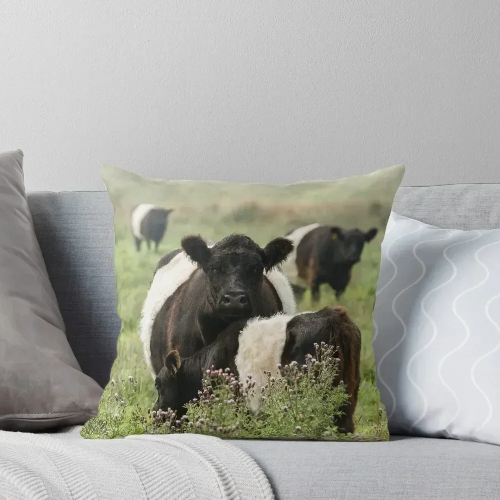 

Belted Galloway Cows Throw Pillow Pillow Cases Decorative Luxury Pillow Cover