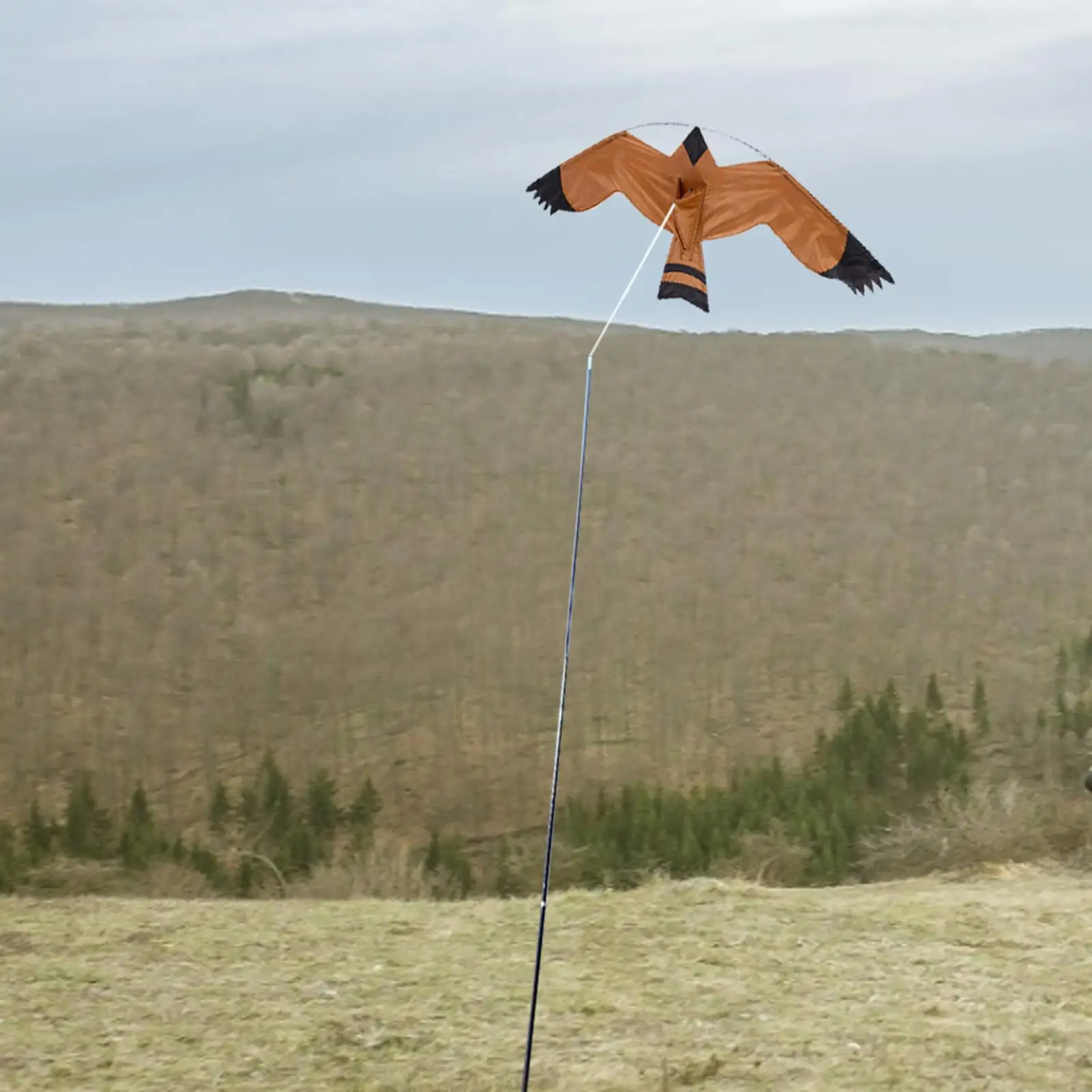 

2025 Bird Repelling Eagle Kite Garden Bird Eagle Huge Kite Eagle Bird Pigeon Repellent Kites Scary Bird Simulated Eagle