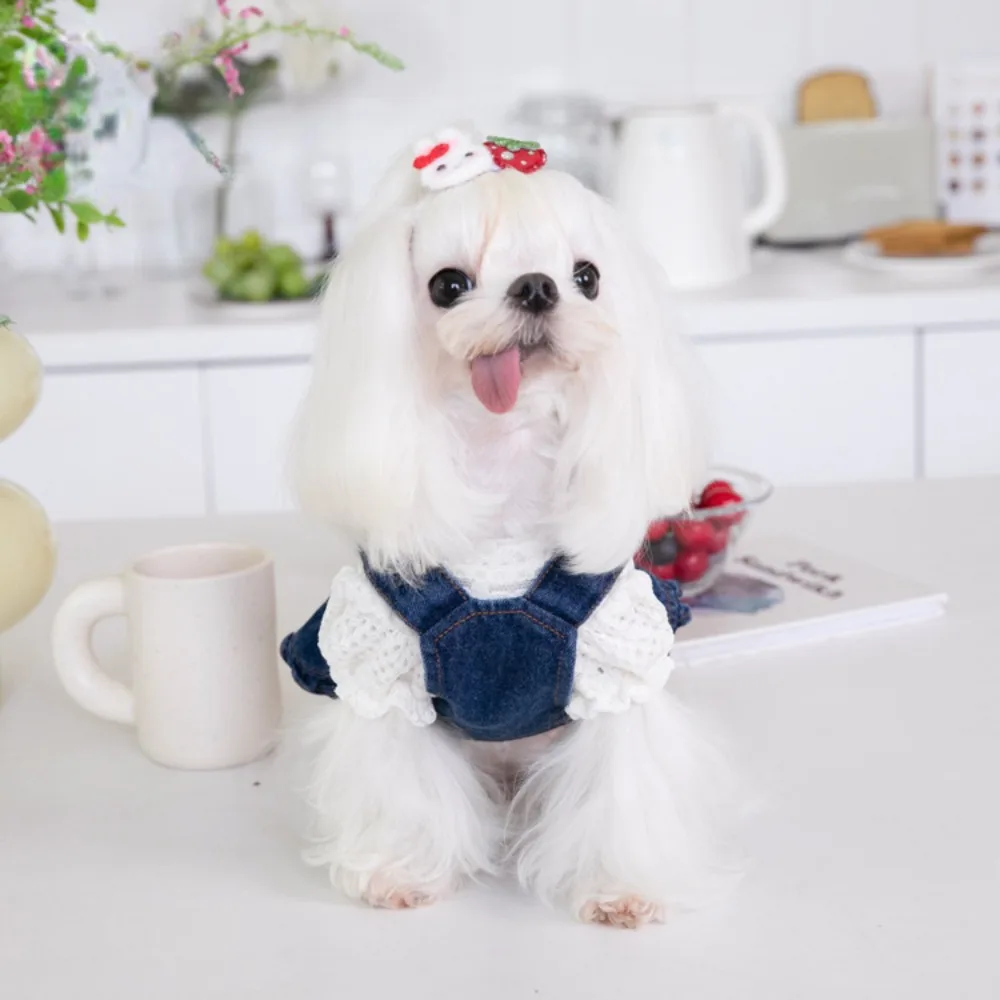 Pet Autumn Winter Cute Traction Denim Skirt Strap Dress Pet Dress Cat Dog Clothing Clothing Teddy Dog Clothes for Small Dogs