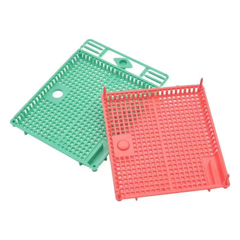 5Pcs Professional Plastic Beekeeping Queen Introduction Cages Travelling Nicot Isolation Safe On Comb Push Into Wax Bee Tools