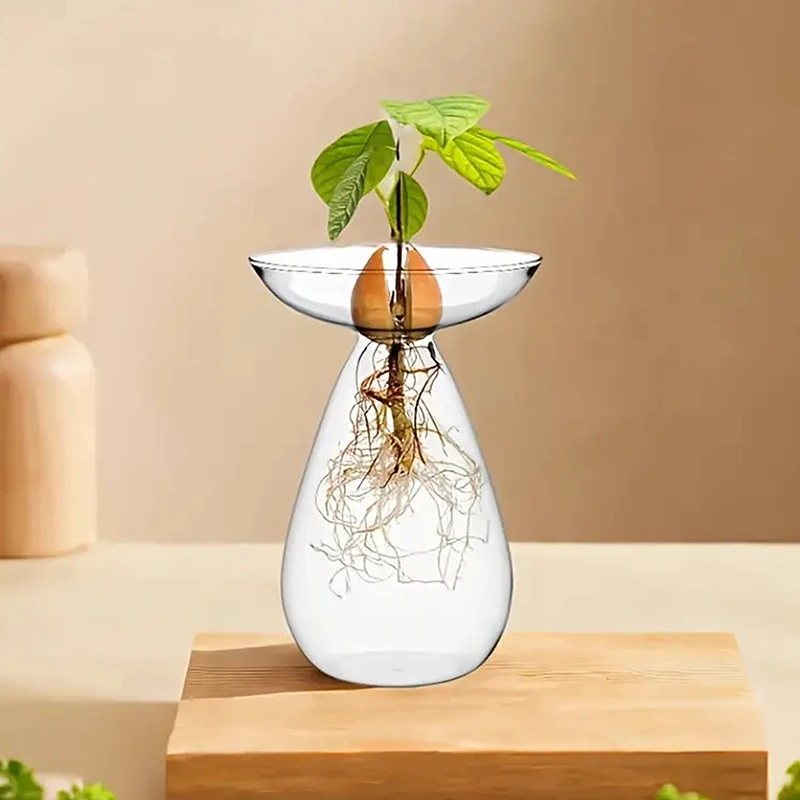 【F】Colorful Transparent Avocado Hydroponic Vase Glass Avocado Seed Starter Vase Plant Seed Growing Kit Gardening Home Decor