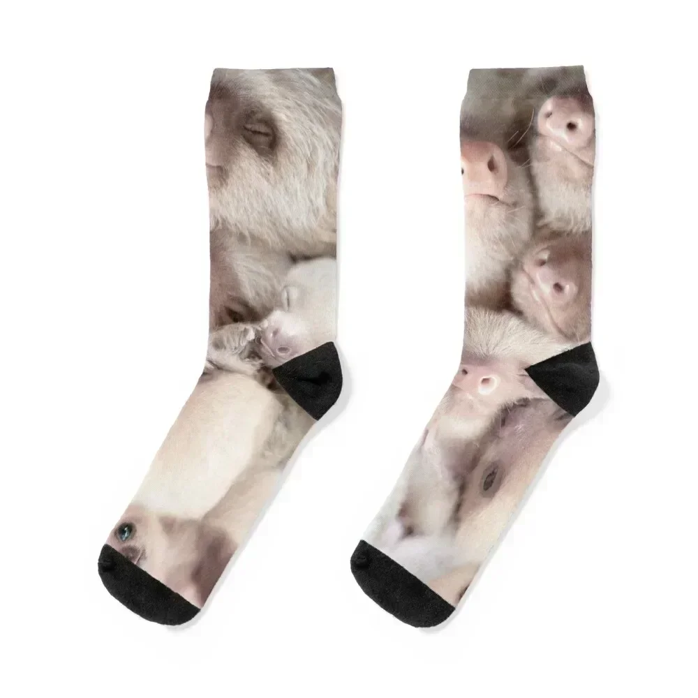 

Sloth Socks Christmas Thermal man winter Novelties men cotton high quality Socks Girl Men's