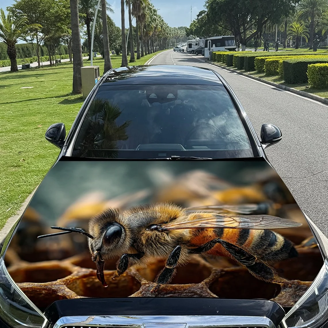 Vivid bee on honeycomb printed car hood wrap, perfect for nature lovers. Eye-catching design adds a unique touch to your vehicle