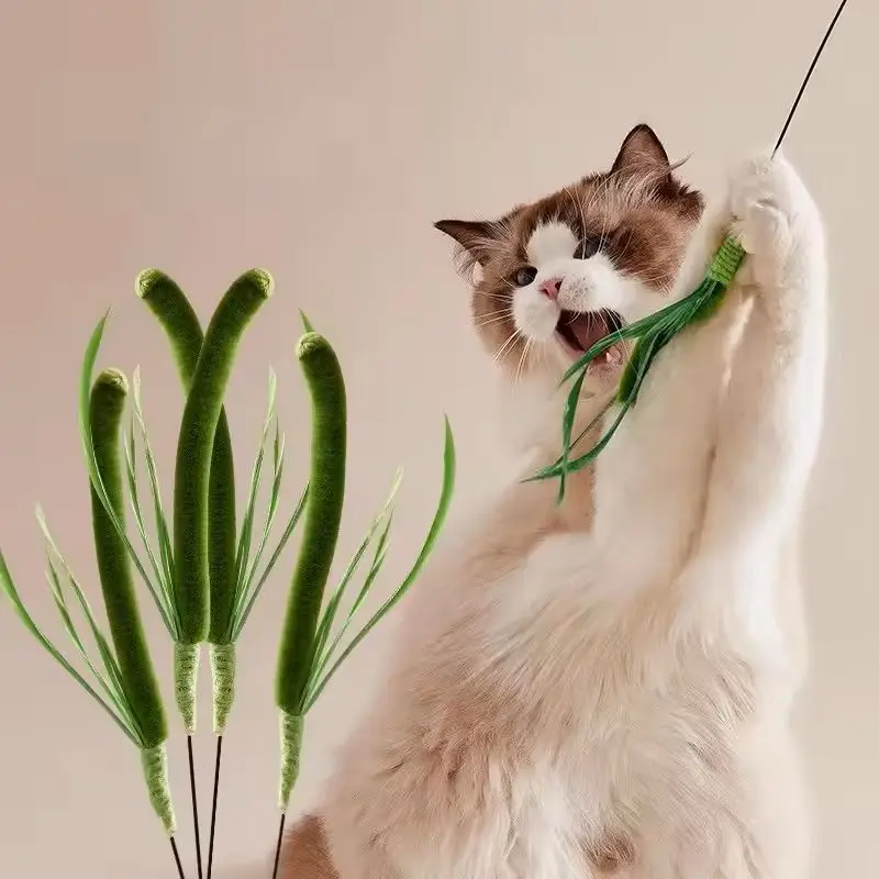 

Cat Interactive Toy Cat Dog Tail Grass Dog Sage Feather Long Pole Cat Teasing Stick Bite Resistant Cat Sound Toy jellycat