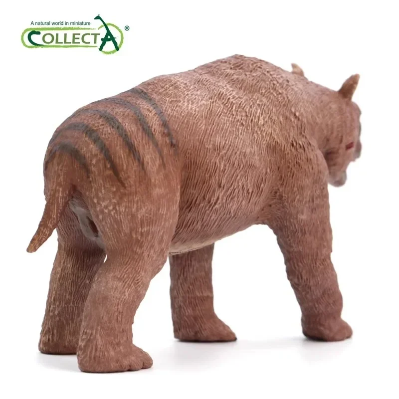 1/20 Scale CollectA Diprotodon Prehistoric Animal Model Toothed Beast Classic Toy