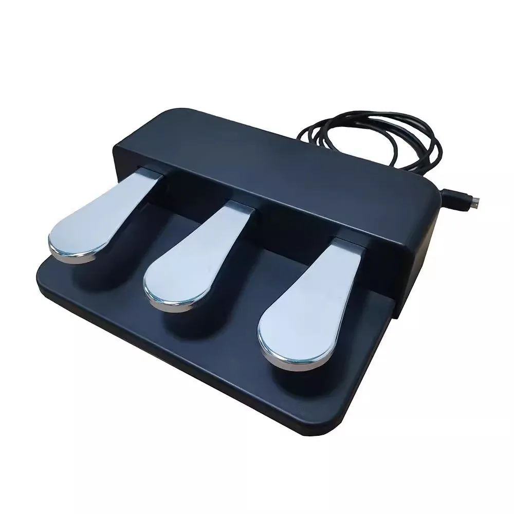 

Sustaining Pedal Electronic Keyboard Electric Piano Three Pedal Electronic Keyboard Sustaining Pedal