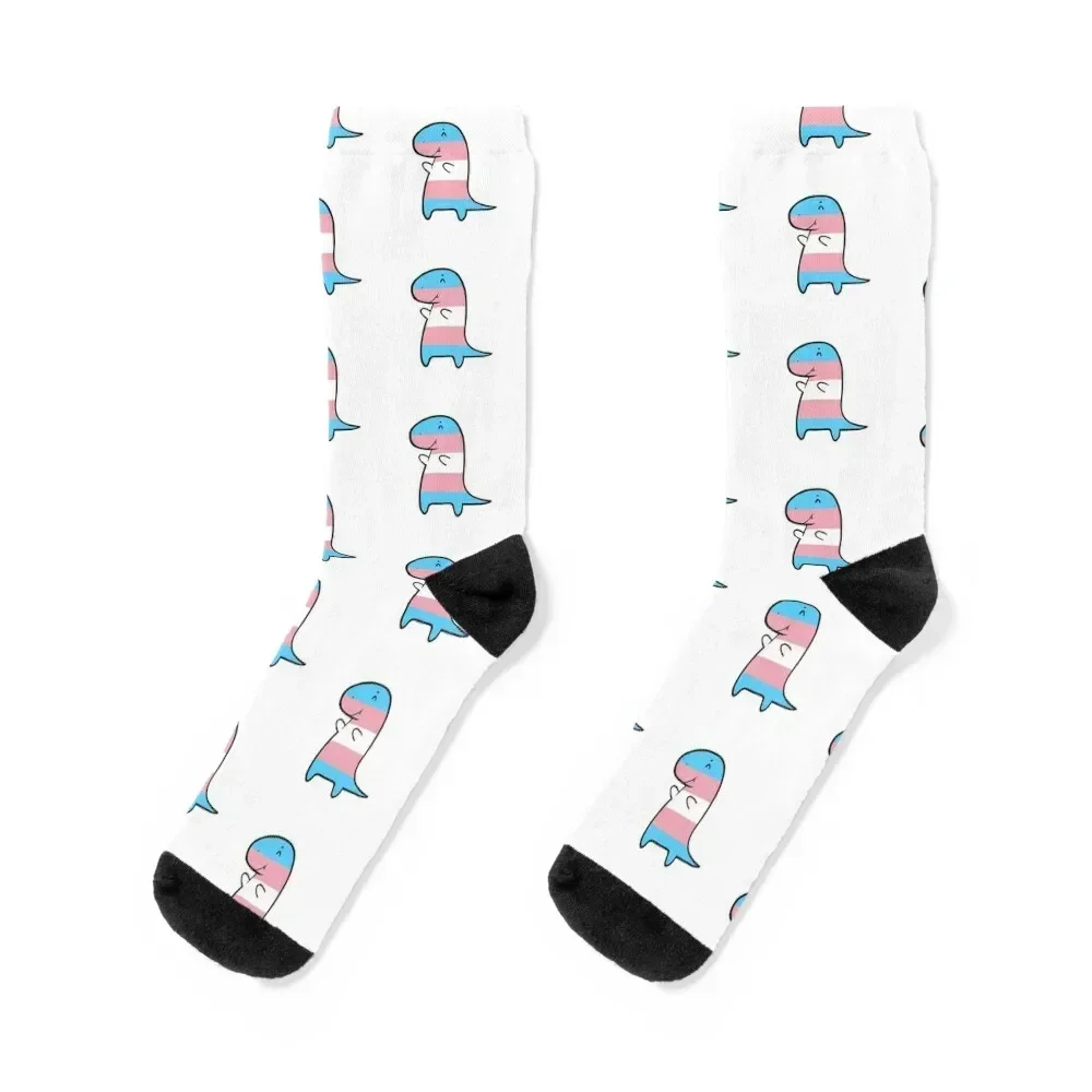 Transgender Flag Dinosaur Socks Heating sock heated Women's Socks Men's