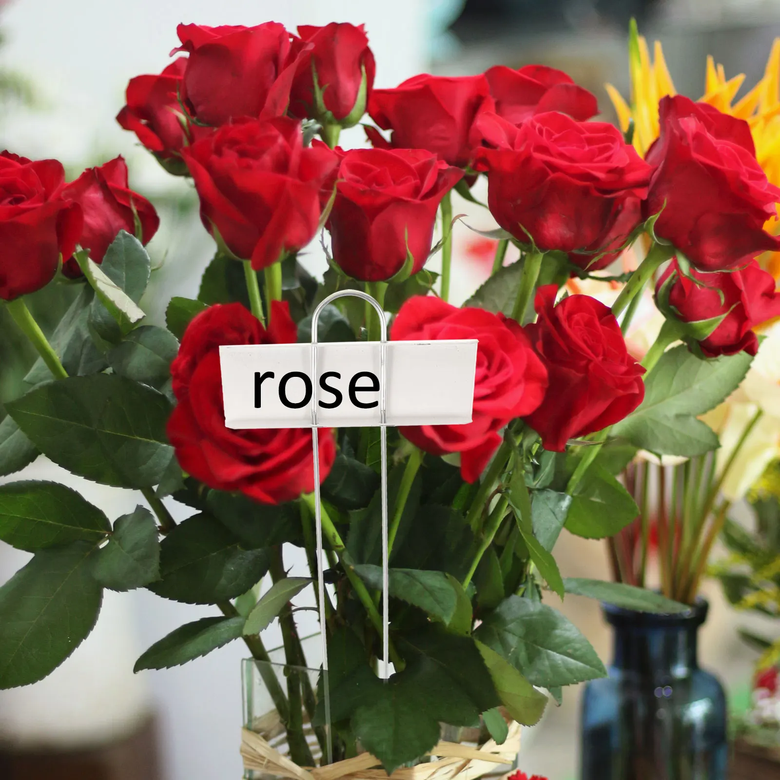

12 Pcs Plants Label Garden Markers Signs for Gardening Signage Metal Labels Flower Tags Vegetable