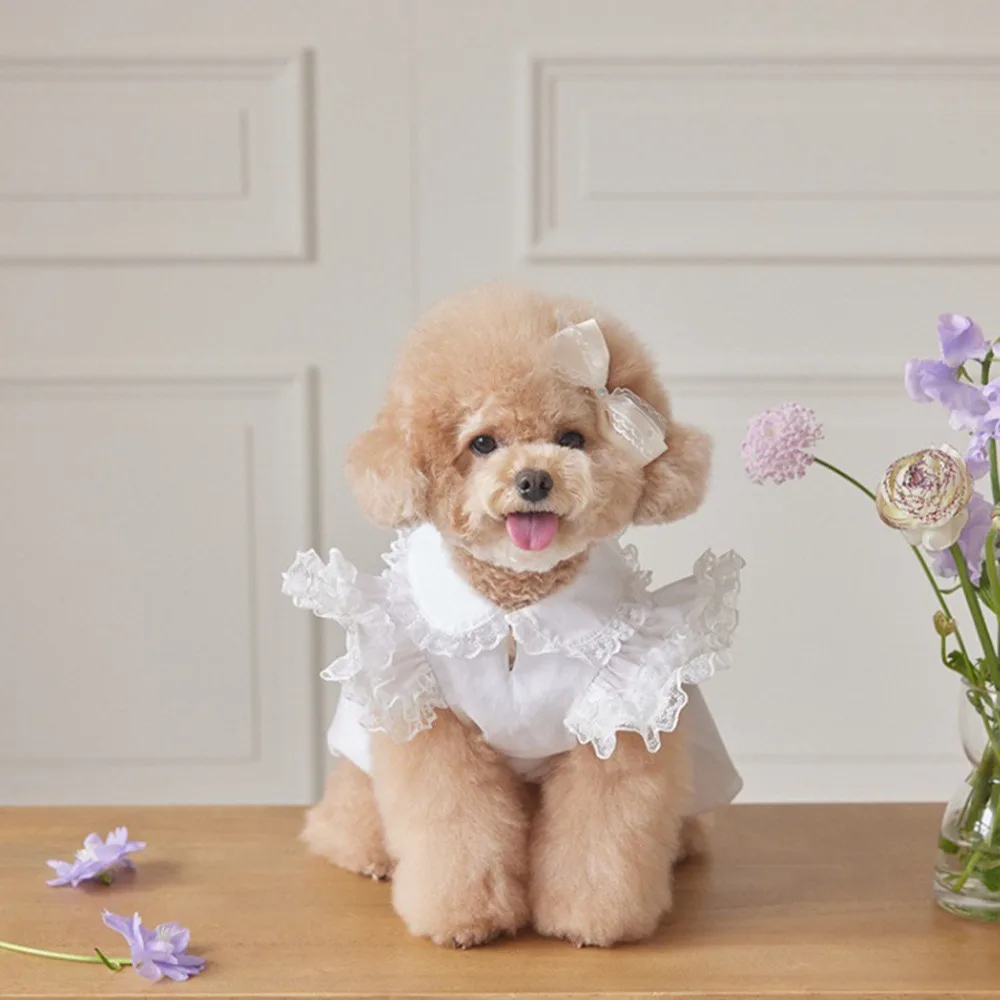 

Pet Supplies Lace Ruffle Dog Princess Dress Fashion Breathable Dog Vest Soft Cat Flying Sleeve Skirt Spring
