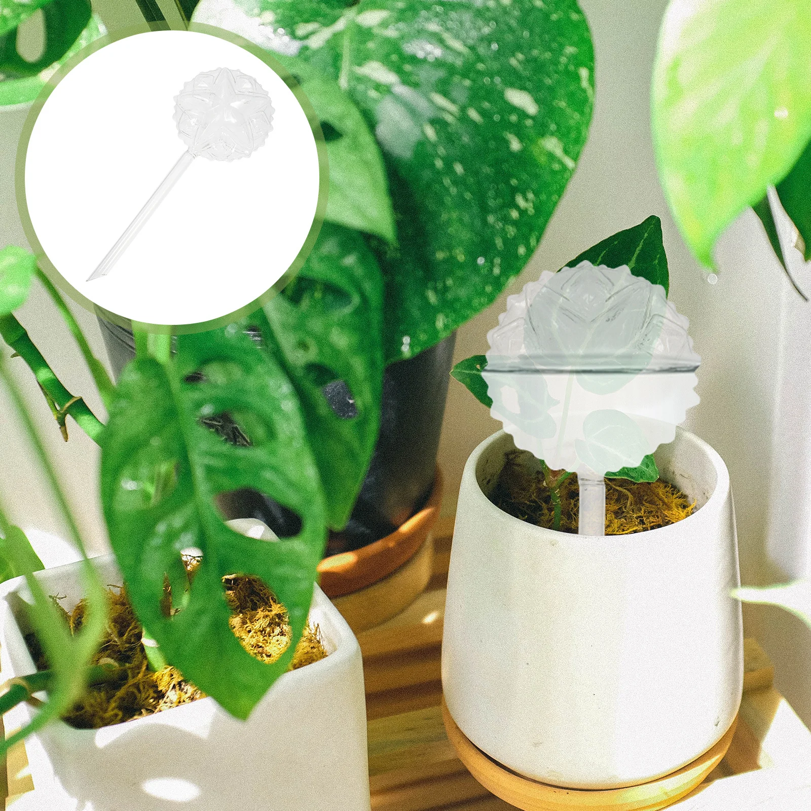 

Self Watering Tool Glass Automatic Watering Device Small Lightweight Convenient Store Not Use Suitable Various Plants Gardens