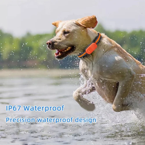 Imagen 2 del producto Rastreador GPS G51 2/4G, localizador antipérdida a prueba de agua, dispositivo de búsqueda de Collar inteligente, aplicación de Control remoto de llamada para perro