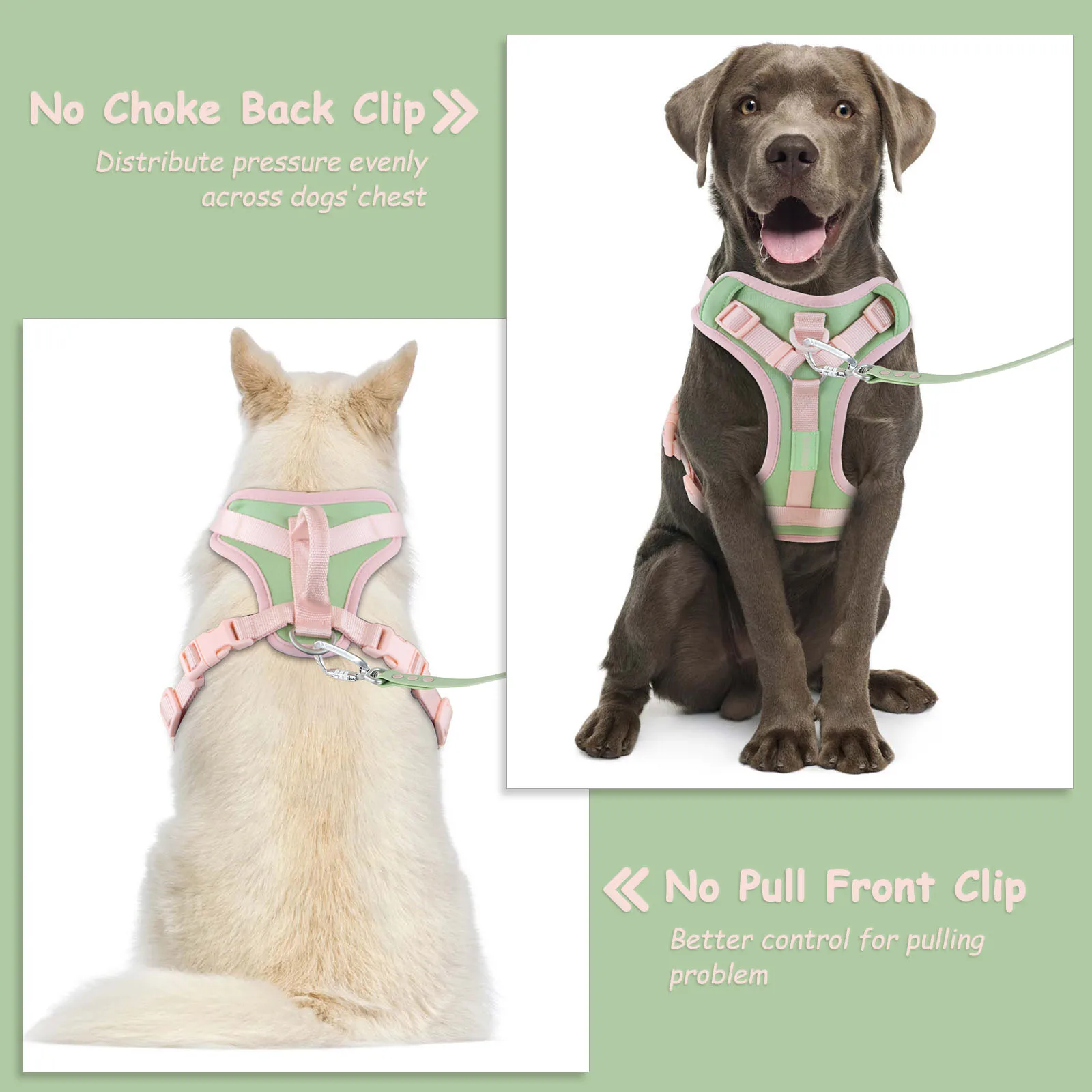 New Splicing Colors Breathable Soft For Medium Dog Harness Adjustable Chest Strap Outdoor Dog Harness For Small Dogs