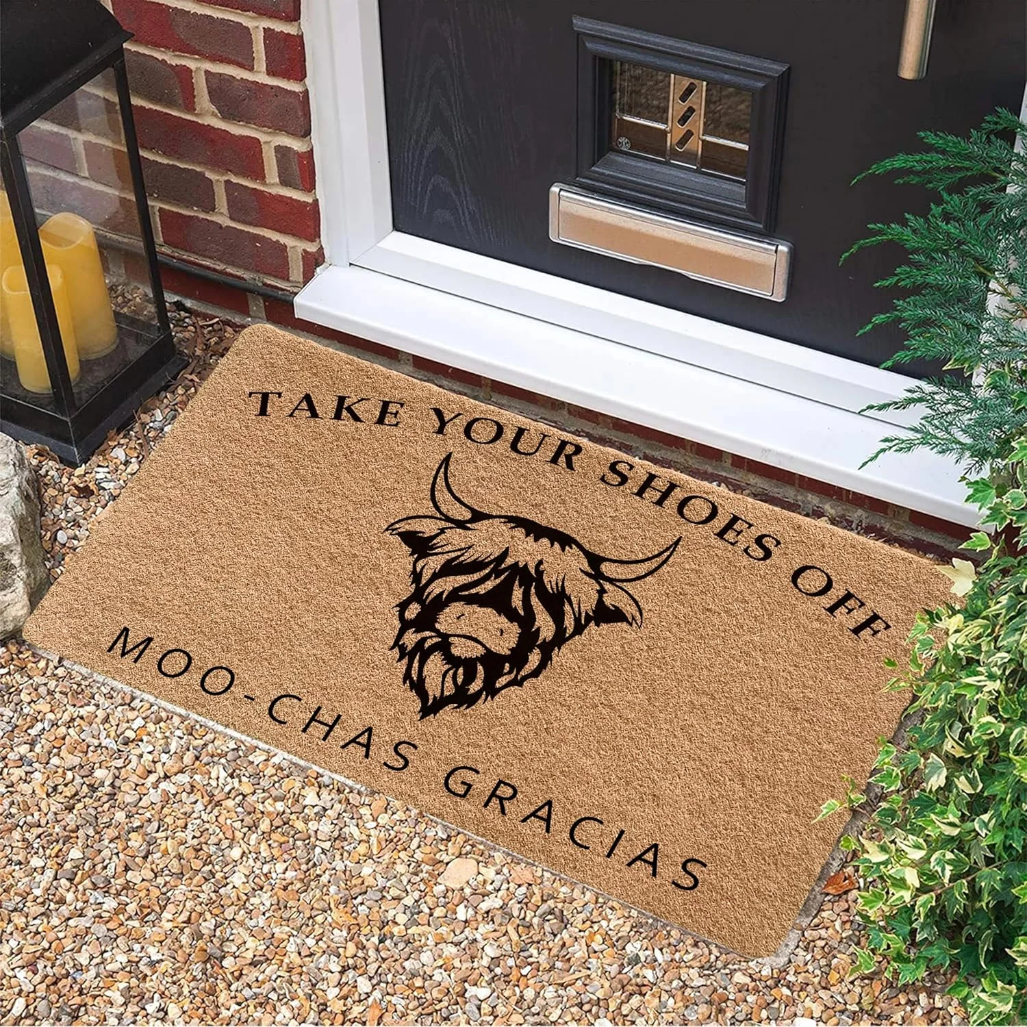 VIKAMA Highland Cow Take Shoes Off Moo Chas Gracias Funny Farm Art Crystal Velvet Door Mat Non Slip Entryway Bedroom Living Room