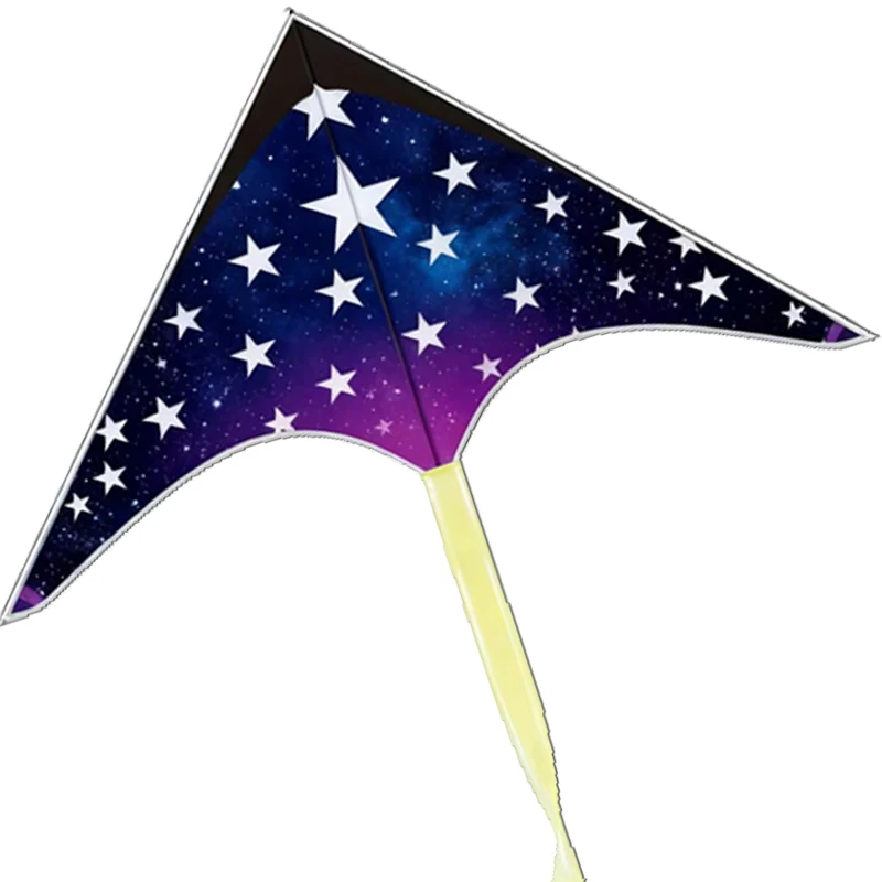 aquiloni professionali aquiloni stella volante per adulti aquiloni tessuto in nylon ripstop giochi all'aperto aquiloni colorati bobina weifang aquiloni koi