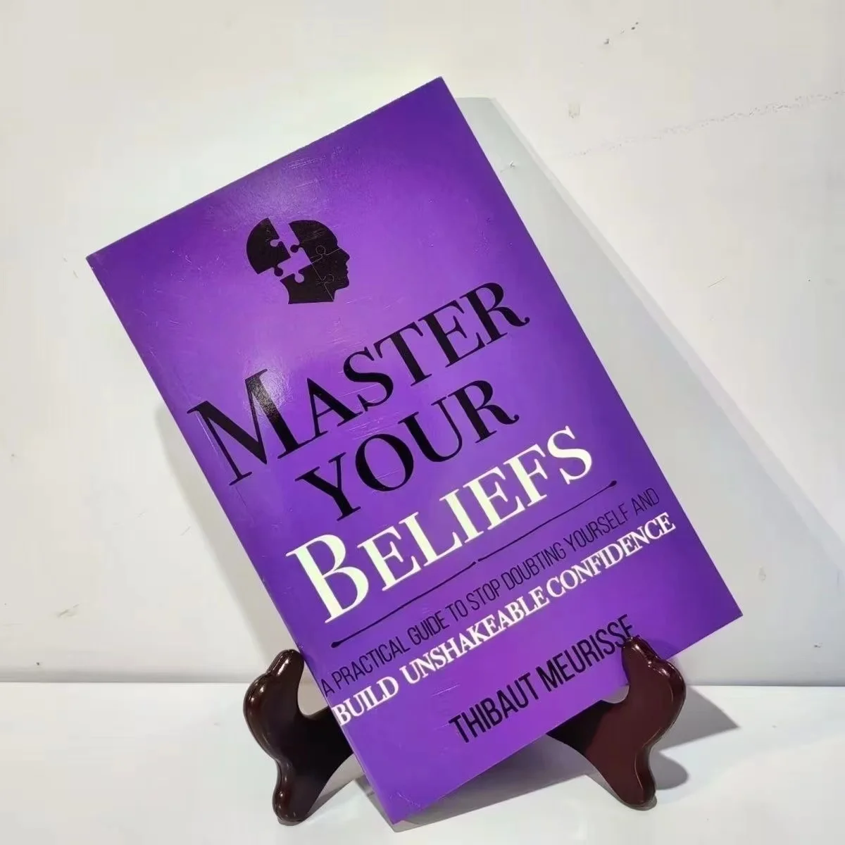 

Master Your Beliefs By Thibaut Meurisse Inspirational Literature Works To Control Emotions Novel Book