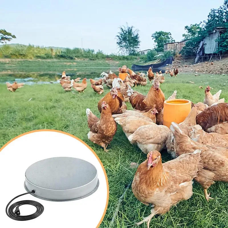 Poultry Waterer Heater 125w Chicken Drinker Heater For Winter Poultry Chicken Water Heater Drinker Heater Base Heated Chicken