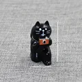 Camera Cat