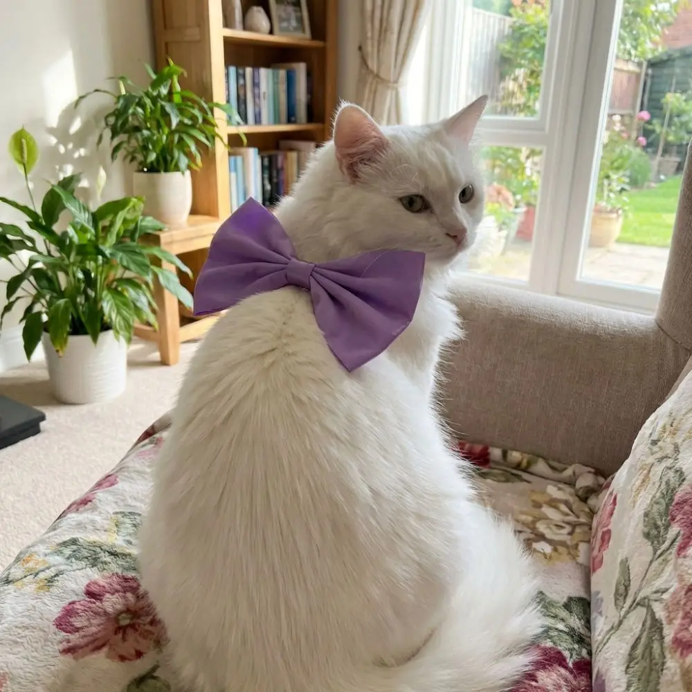 Fashion Adjustable Cat Bow Headwear Formal Elegant Cat Bow Tie Collar Decorative Pet Tie Scarf Wedding Party