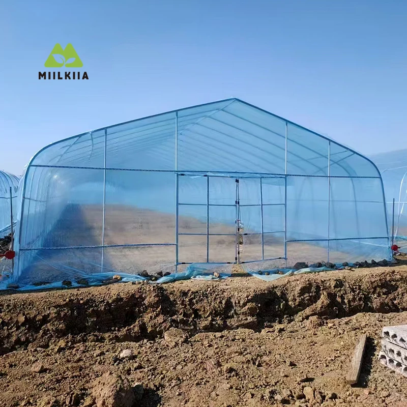 

Wind-Resistant Tunnel Greenhouse – Ground-Inserted Structure for Efficient Backyard & Farm Use