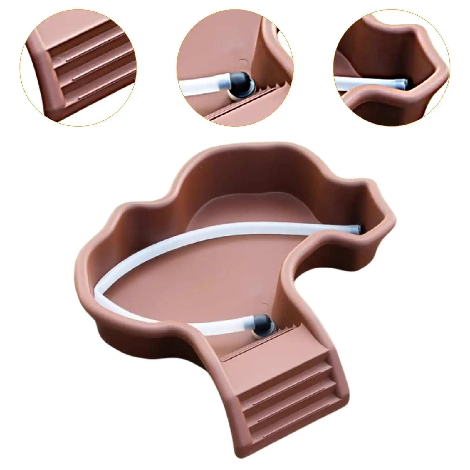 Reptilien-Wassernapf, Baden, Pool, Ornament, Futternapf, Schildkröte, Futternapf mit Rampe