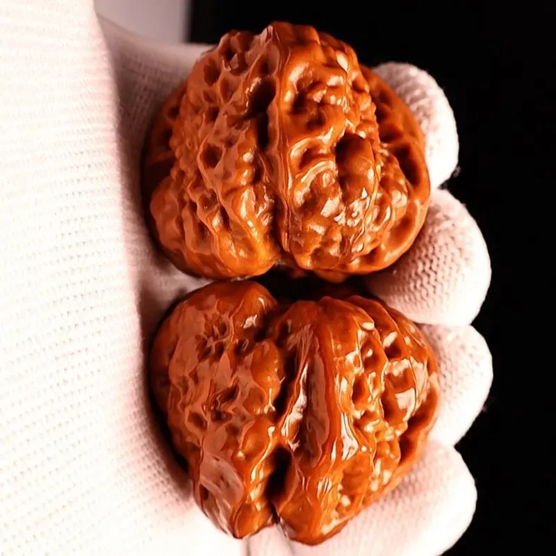 Wenwan walnutsYancheng old tree golden , blunt tip open back short stem toad head – each piece is unique and come