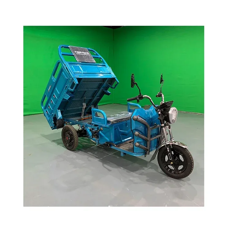 New Arrival Hot Sale Electric Tricycle 48V 20Ah Adults 3 Wheel Cargo E Bike With Front Rear Cargo Basket