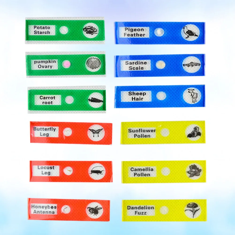 

12Pcs Plastic Microscope Slides Assorted Color Biological Specimens Safe Edge Prepared for Kids Students Home School Educational