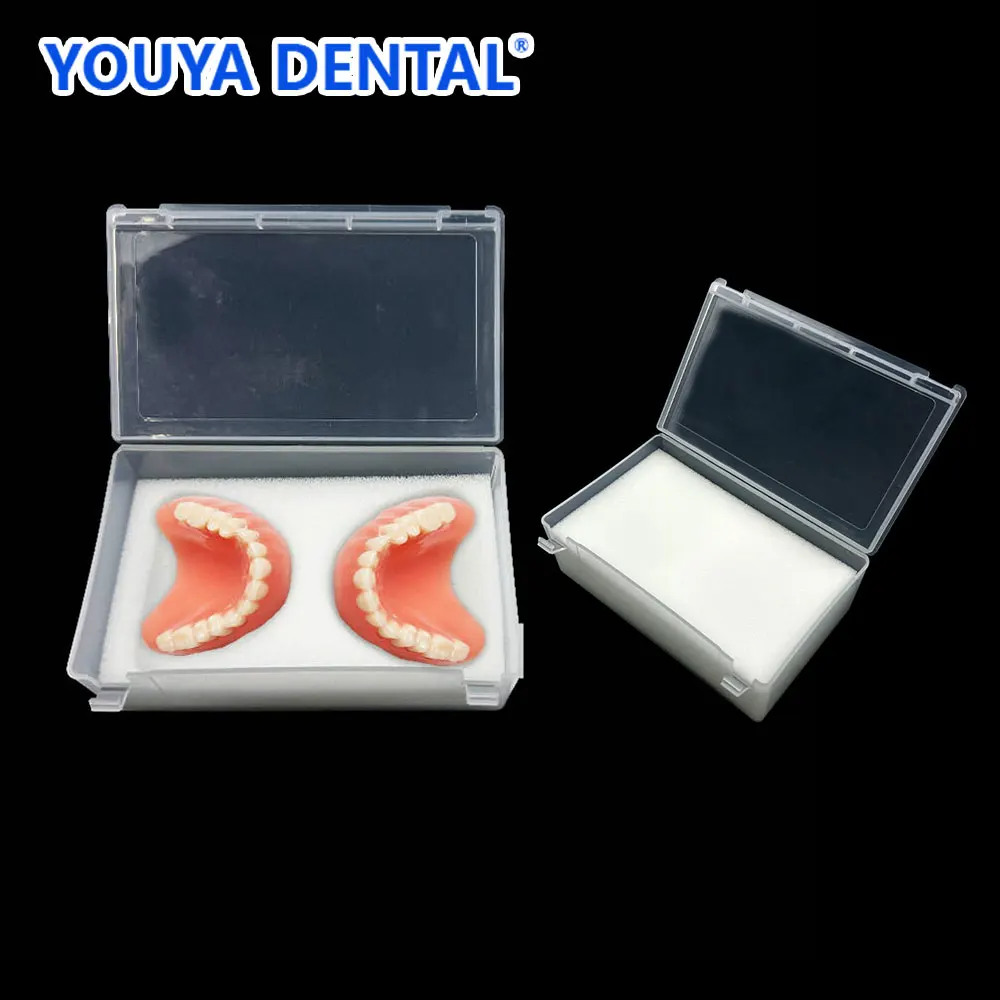 

Plastic Model Placement Box Dental Denture Technician With Foam Sponge Implant Tooth Box Clinic Protection Case Jaw Soft Wax