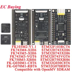 STM32H743XIH6 STM32H750XBH6 STM32H743VGT6 STM32G070RBT6 STM32F103RCT6 STM32 Core Development Board Compatible with OpenMV SDRAM
