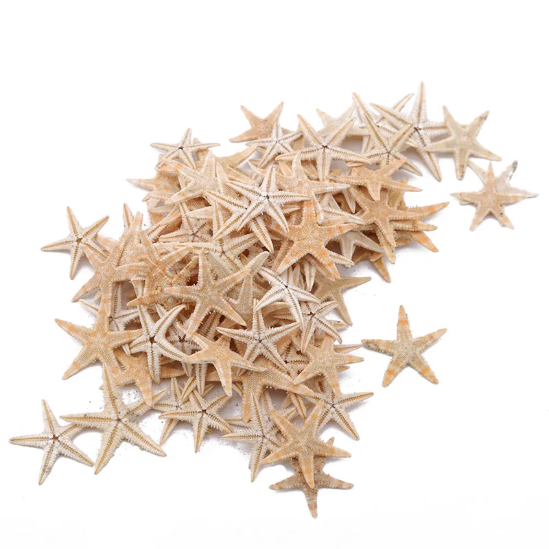 100 Pcs/pack New Simulation Natural Starfish Micro Landscape Decoration Hanging Photo Frames Candles Handicrafts Home Accessory
